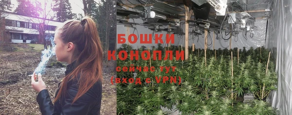 PSILOCYBIN Тихвин