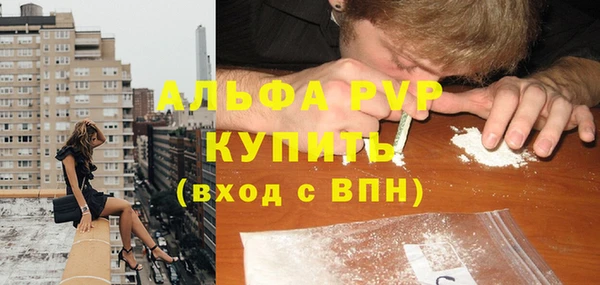 PSILOCYBIN Тихвин