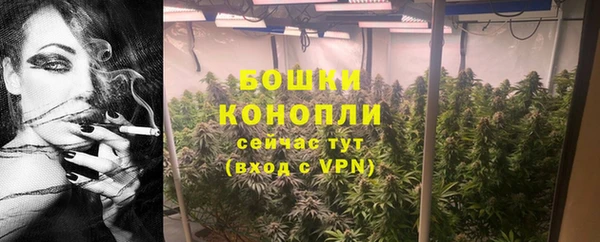 spice Олёкминск