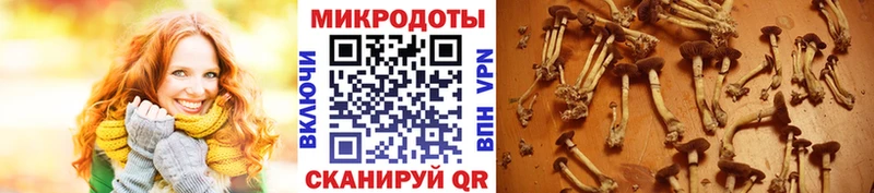 Псилоцибиновые грибы мухоморы где купить наркотик Щигры